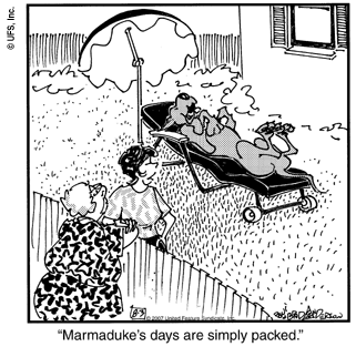 marmaduke